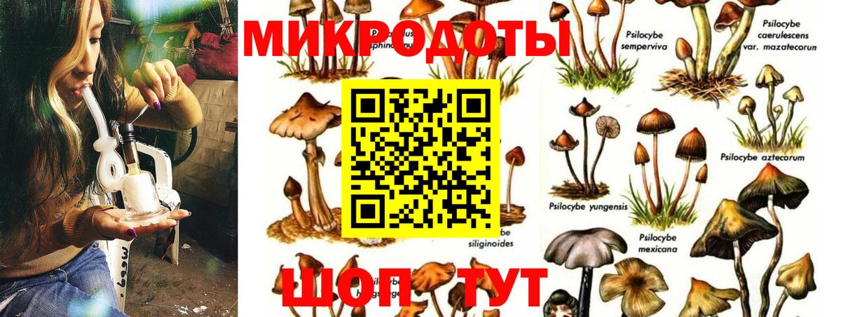 Галлюциногенные грибы Magic Shrooms Омск